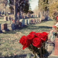 red roses in vase at cemetery