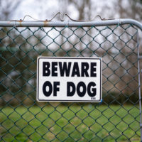 beware-of-dog-sign-on-fence-to-prevent-bites